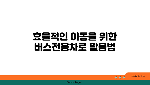 경부고속도로 버스전용차로 기준 운영 시간 및 벌금