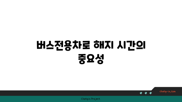 경부고속도로 버스전용차로 이용 규칙: 적용 시간과 해지 시간