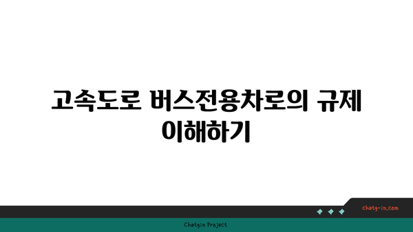 고속도로 버스전용차로에서 카니발 차량 단속 및 벌금 정보