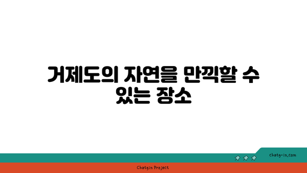 **거제도 리조트 패키지 상품 추천: 할인 혜택과 다양한 즐길 거리**