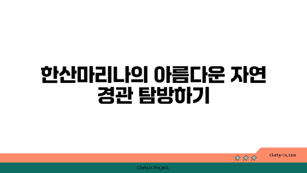 **경남 고성 한산마리나 리조트: 요트투어와 함께 즐기는 특별한 휴식**