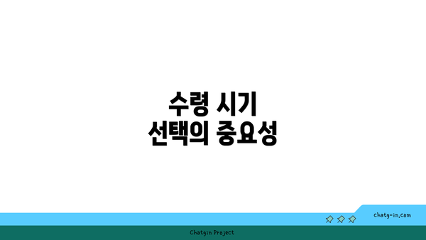 수령 시기 선택의 중요성