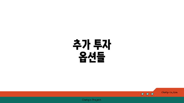 추가 투자 옵션들
