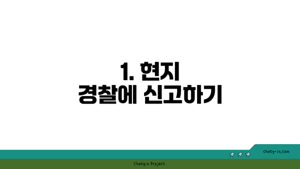 1. 현지 경찰에 신고하기