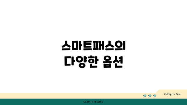 스마트패스의 다양한 옵션