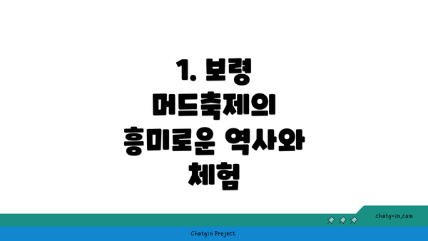 1. 보령 머드축제의 흥미로운 역사와 체험