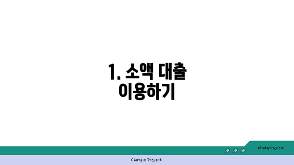 1. 소액 대출 이용하기