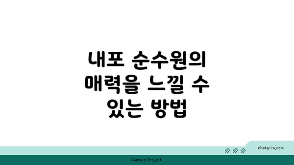 내포 순수원의 매력을 느낄 수 있는 방법