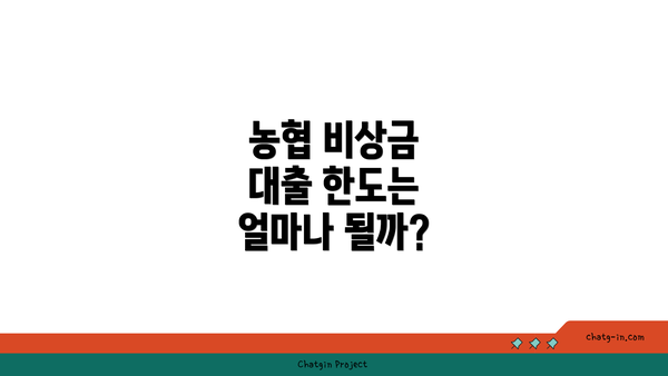 농협 비상금 대출 한도는 얼마나 될까?