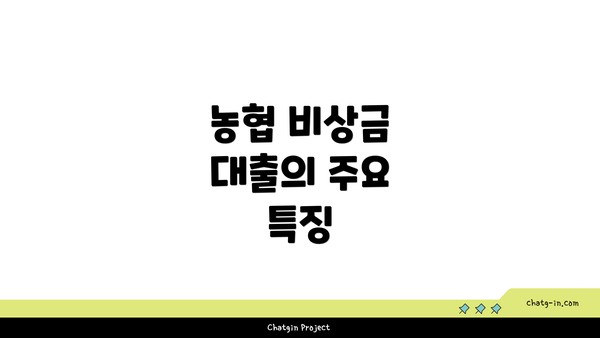 농협 비상금 대출의 주요 특징