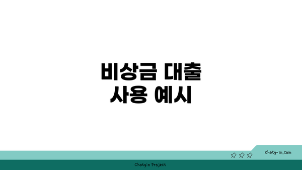 비상금 대출 사용 예시