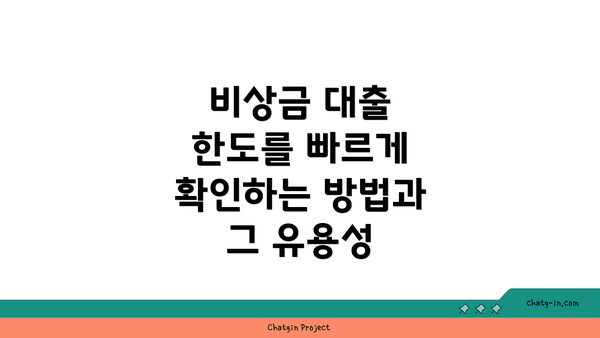 비상금 대출 한도를 빠르게 확인하는 방법과 그 유용성