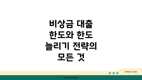 비상금 대출 한도와 한도 늘리기 전략의 모든 것