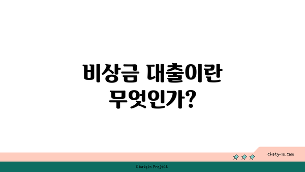 비상금 대출이란 무엇인가?