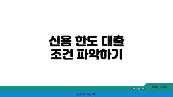 신용 한도 대출 조건 파악하기