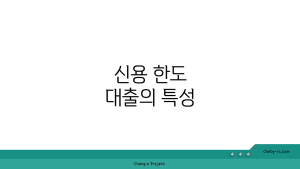 신용 한도 대출의 특성