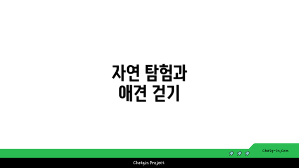 자연 탐험과 애견 걷기