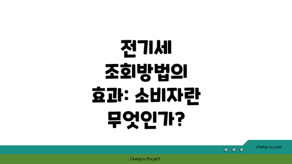 전기세 조회방법의 효과: 소비자란 무엇인가?