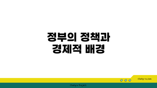 정부의 정책과 경제적 배경