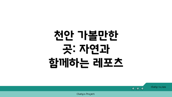 천안 가볼만한 곳: 자연과 함께하는 레포츠