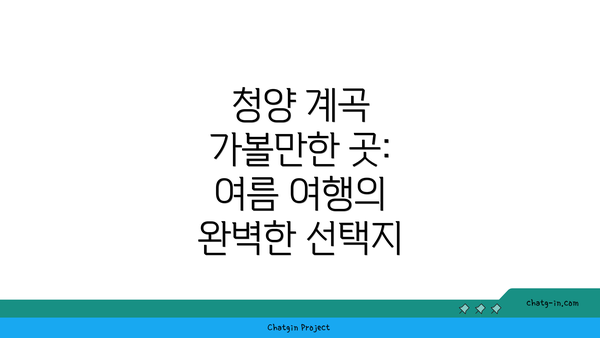 청양 계곡 가볼만한 곳: 여름 여행의 완벽한 선택지