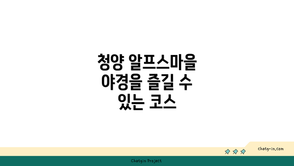 청양 알프스마을 야경을 즐길 수 있는 코스