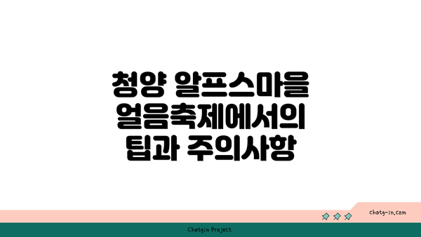 청양 알프스마을 얼음축제에서의 팁과 주의사항