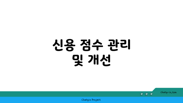 신용 점수 관리 및 개선