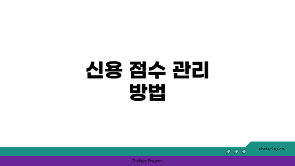 신용 점수 관리 방법