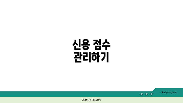 신용 점수 관리하기