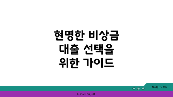 현명한 비상금 대출 선택을 위한 가이드