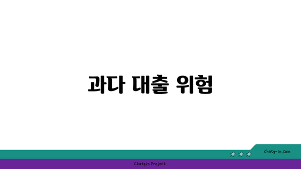 과다 대출 위험