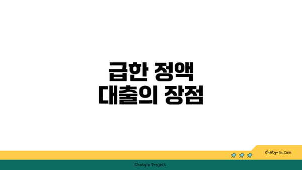 급한 정액 대출의 장점