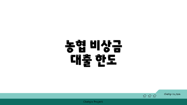 농협 비상금 대출 한도