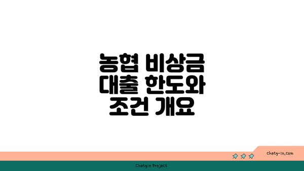 농협 비상금 대출 한도와 조건 개요
