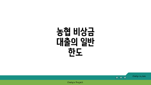 농협 비상금 대출의 일반 한도