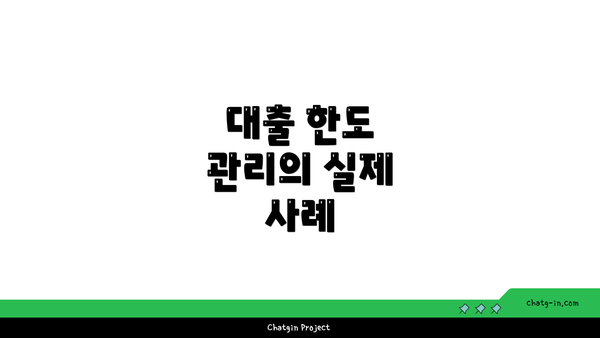 대출 한도 관리의 실제 사례