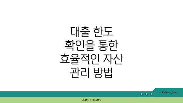 대출 한도 확인을 통한 효율적인 자산 관리 방법