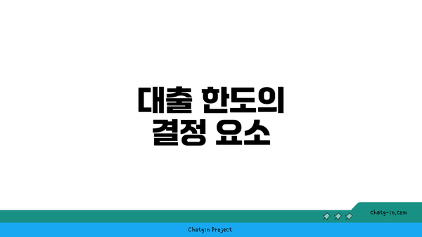 대출 한도의 결정 요소