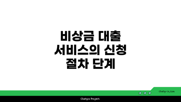 비상금 대출 서비스의 신청 절차 단계