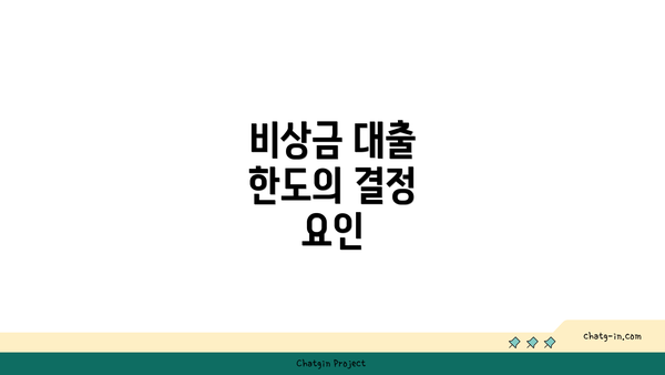 비상금 대출 한도의 결정 요인