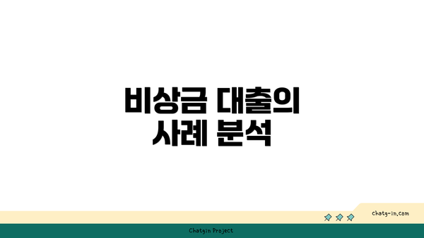 비상금 대출의 사례 분석