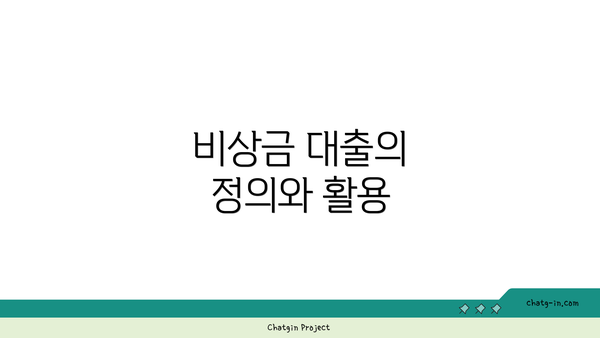 비상금 대출의 정의와 활용