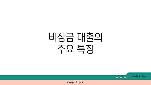 비상금 대출의 주요 특징