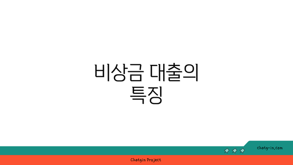 비상금 대출의 특징