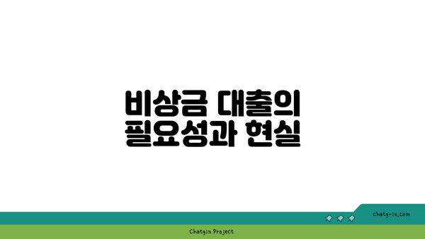 비상금 대출의 필요성과 현실