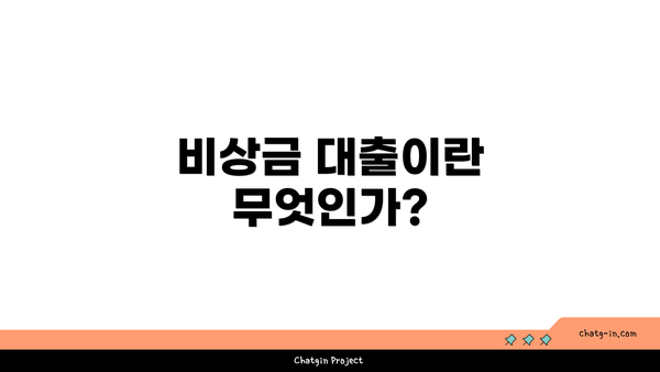 비상금 대출이란 무엇인가?