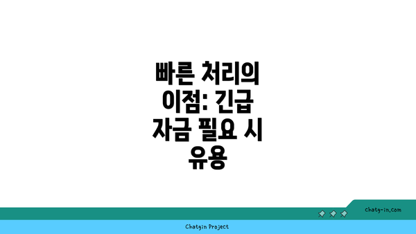 빠른 처리의 이점: 긴급 자금 필요 시 유용