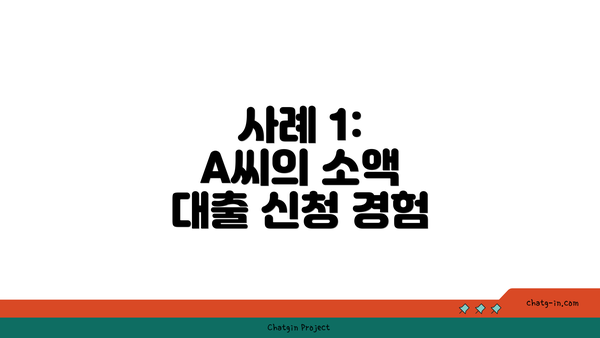 사례 1: A씨의 소액 대출 신청 경험