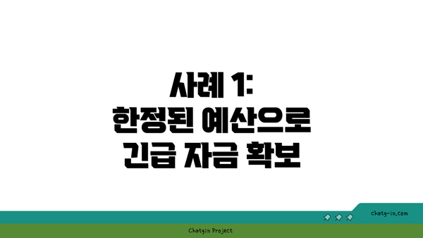 사례 1: 한정된 예산으로 긴급 자금 확보